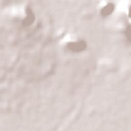 Paraguarí Terrain Map