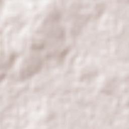 Natalicio Talavera Terrain Map