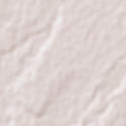 Pontal do Paraná Terrain Map