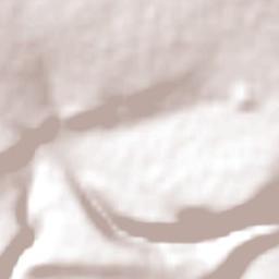 Nkangala District Municipality Terrain Map