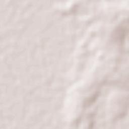 Coronel Martínez Terrain Map