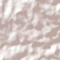 Dois Vizinhos Terrain Map