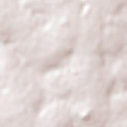 Santa Rita Terrain Map