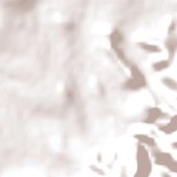 Barberton Terrain Map