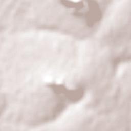 Carapeguá Terrain Map