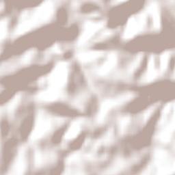 Chopinzinho Terrain Map