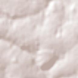 Naranjal Terrain Map