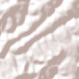 Antônio Olinto Terrain Map