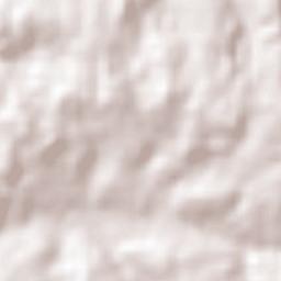 Puerto Esperanza Terrain Map