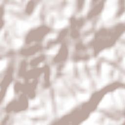 Rio Negro Terrain Map