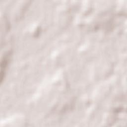 Buena Vista Terrain Map