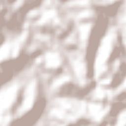 Pato Branco Terrain Map