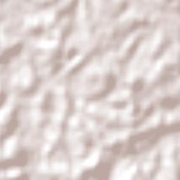 Southside Terrain Map