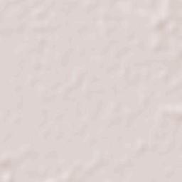 San Francisco de Laishí Terrain Map