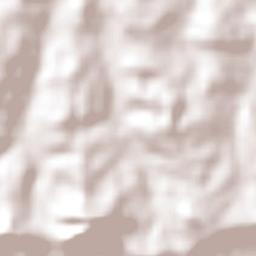 Departamento de Eldorado Terrain Map