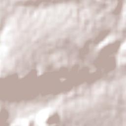 Alberton Terrain Map