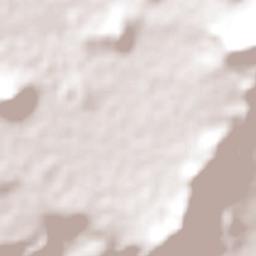 Diego de Almagro Terrain Map