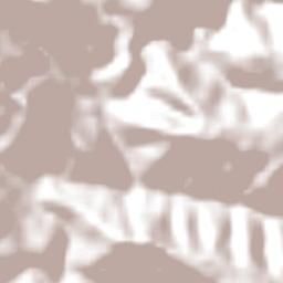 Palma Sola Terrain Map