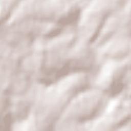 Colonia Carlos Antonio López Terrain Map