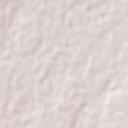 Charleville Terrain Map