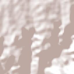 Campo Erê Terrain Map