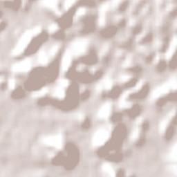 Araquari Terrain Map