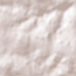 Colonia San Lorenzo Terrain Map