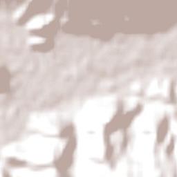 Jaraguá do Sul Terrain Map