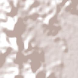 Ninderry Terrain Map