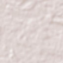 Ciervo Petiso Terrain Map