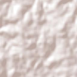 San Pedro Terrain Map