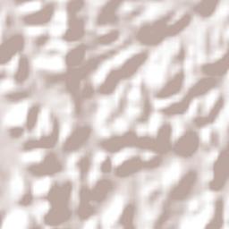 São João do Itaperiú Terrain Map