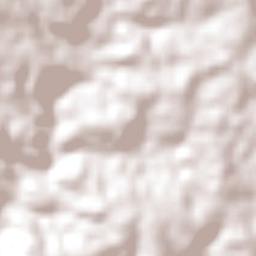 Departamento de San Pedro Terrain Map