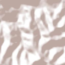 Santiago do Sul Terrain Map