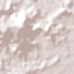 Alexandra Headland Terrain Map