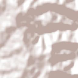 São Miguel do Oeste Terrain Map