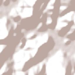 Luiz Alves Terrain Map