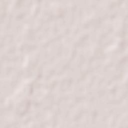 Campo Largo Terrain Map