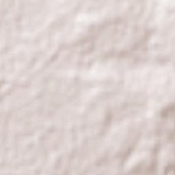 Western Downs Terrain Map