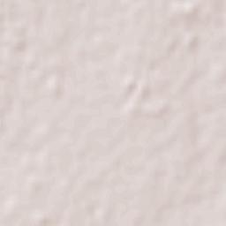 San Miguel de Tucumán Terrain Map