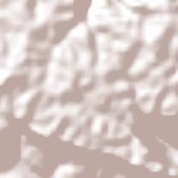 Vitor Meireles Terrain Map