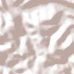 Coronel Freitas Terrain Map