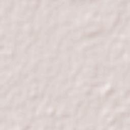 Presidencia de la Plaza Terrain Map