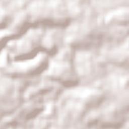 Puerto Leoni Terrain Map