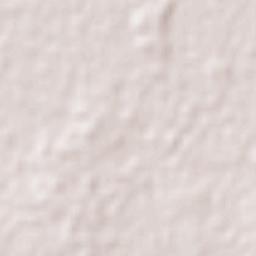 General Delgado Terrain Map