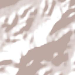 Camboriú Terrain Map