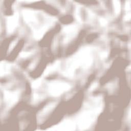 Caxambu do Sul Terrain Map