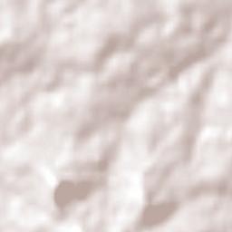 Santo Pipó Terrain Map