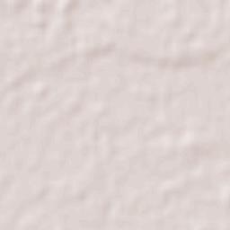 General José Eduvigis Díaz Terrain Map