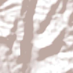 Laurentino Terrain Map